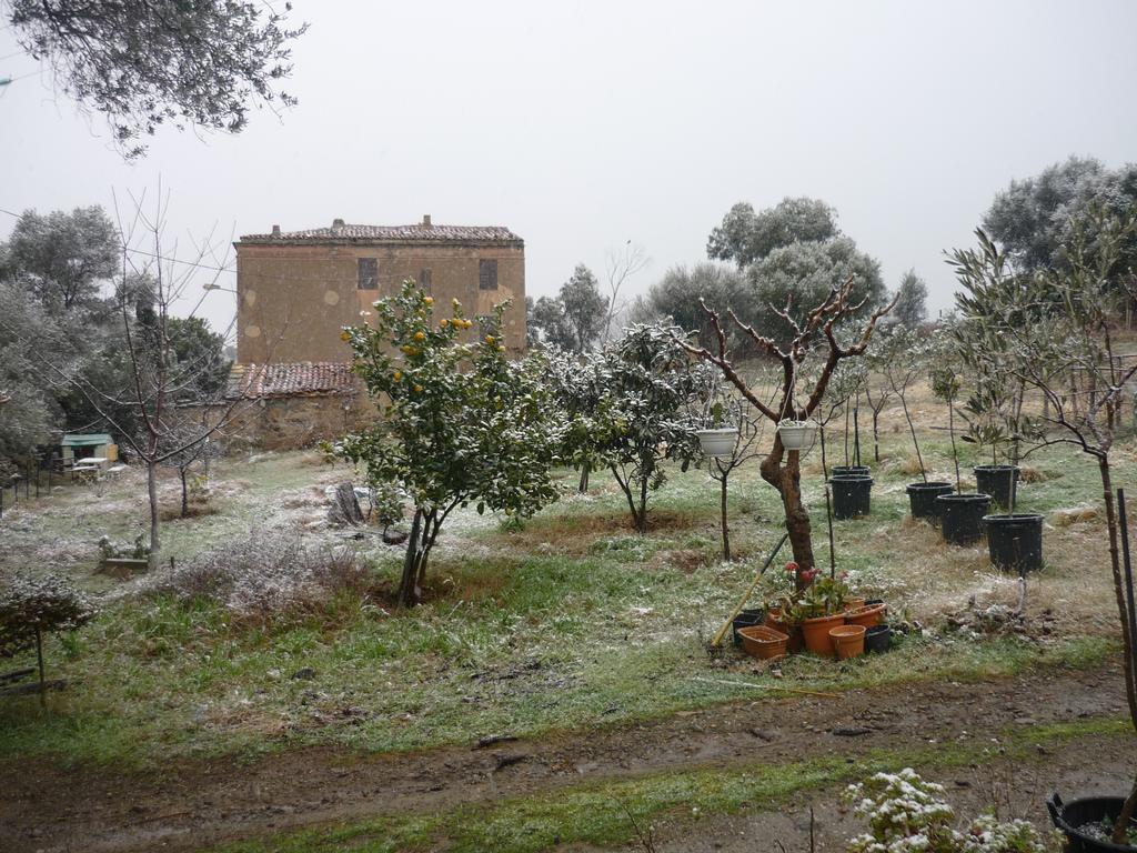 B&B Pietra-Monetta Pietra Moneta Bagian luar foto